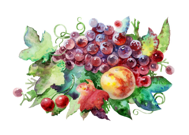 Frutas no fundo branco. Sobremesa de fruta desenhada em aquarela. Bela ilustração aquarela. - Foto, Imagem