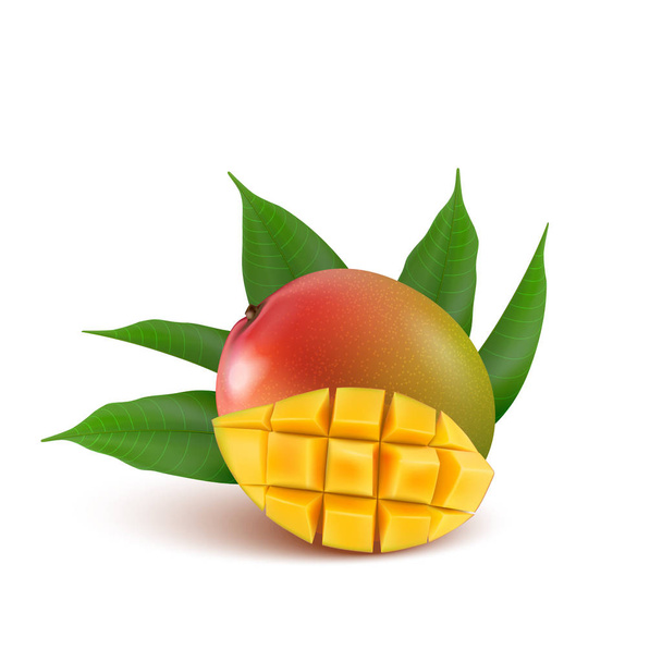 Mango meyve taze meyve suyu, reçel, yoğurt, hamuru. 3D gerçekçi yel - Vektör, Görsel