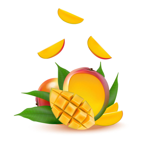 Fruta de mango para zumo fresco, mermelada, yogur, pulpa. 3d yel realista
 - Vector, imagen