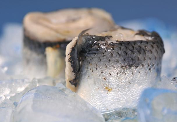 Rolled herring fillet - Photo, Image