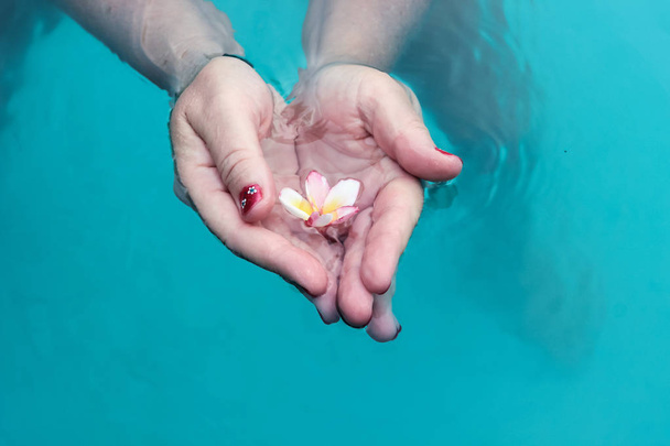 holding a flower in hands in water - Φωτογραφία, εικόνα
