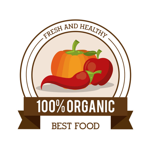 buntes Logo frischer und gesunder Biolebensmittel mit Chili-Kürbis und Apfel - Vektor, Bild