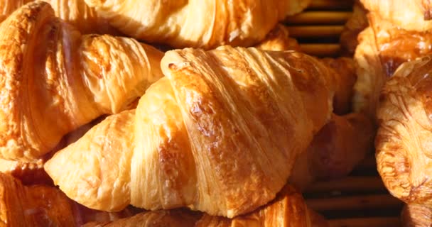 Franse krokante croissants, gebak, zelfgemaakte bakkerij op display voor klanten, traditionele winkel heerlijke ochtend ontbijt keuze van gebak - Video
