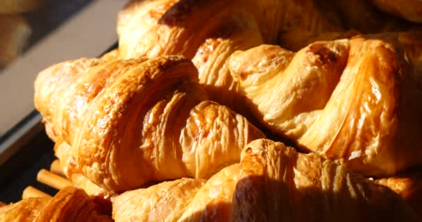 French crispy croissants baked goods, homemade bakery on display for customers, traditional shop delicious morning breakfast choice of pastries - Footage, Video