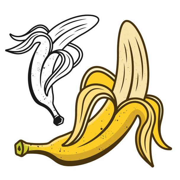Peeled banana vector illustration two style colored and monochrome isolated on white background - Wektor, obraz