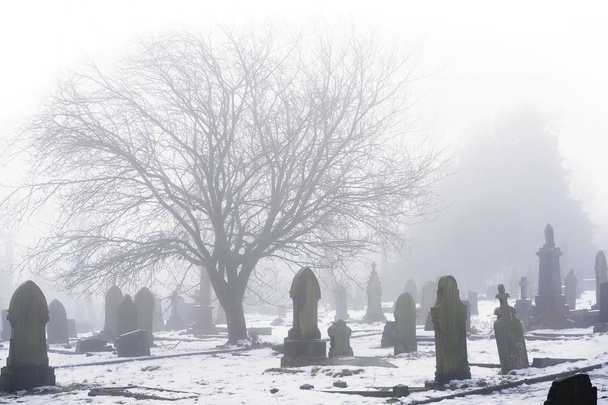 Hideg, téli temetői jelenet egy kísérteties fa sziluettje a háttér fehér köd és a hó és a sötét sírkövek. - Fotó, kép