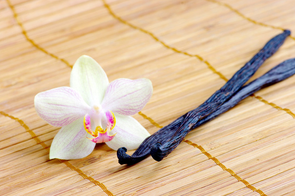 Orchidee mit Vanilleschoten - Foto, Bild