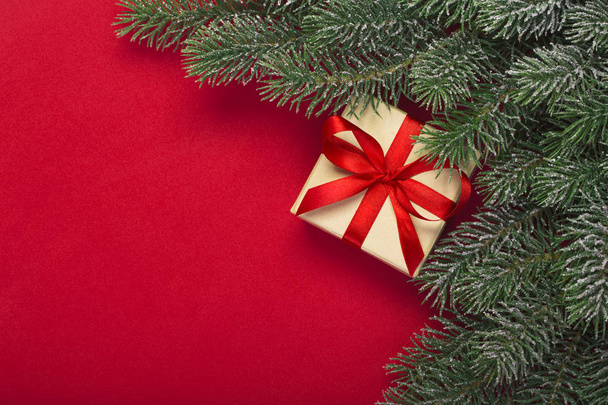 Gift and branches of Christmas tree - Φωτογραφία, εικόνα