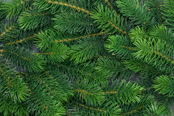 texture furry tree branches - Фото, изображение