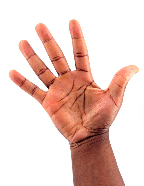 Palm side Hand - Foto, imagen