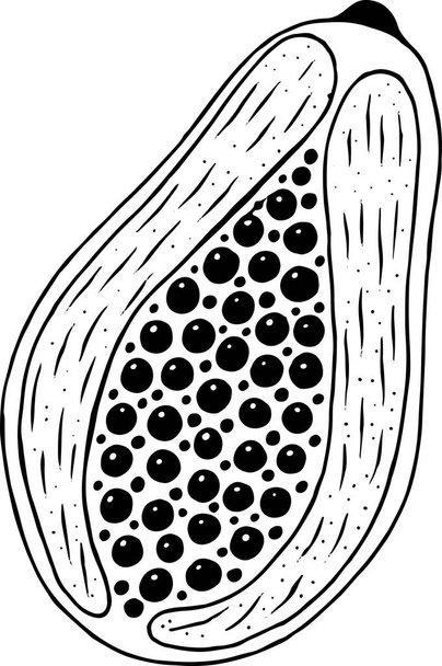 Papaya coloring page. Line art for coloring books for adults. Tr - Vetor, Imagem