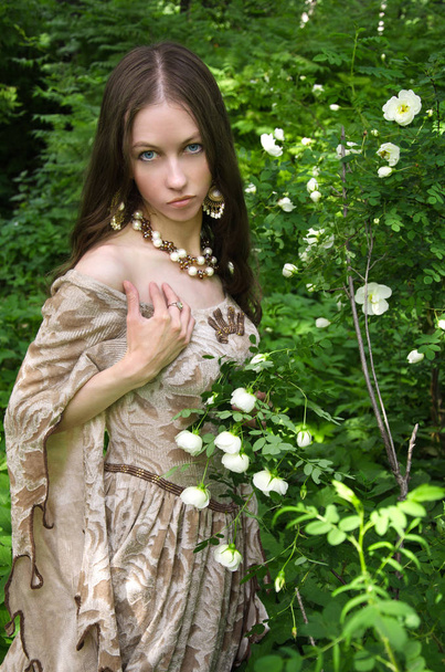 young woman in vintage dress walking in Park among blooming white roses - Photo, Image