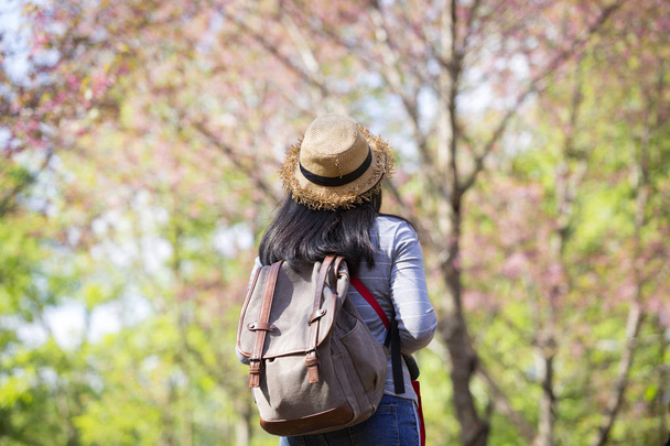 молода жінка hipster vintage стиль дивитися sakura Цвітіння вишні в ліс або Національний парк Таїланду. - Фото, зображення