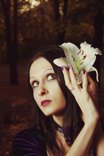 Podzimní melancholie - Fotografie, Obrázek
