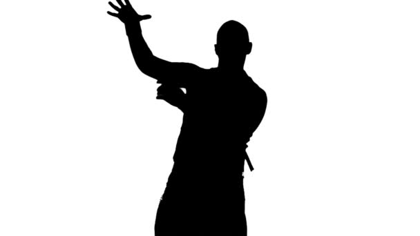 Szexi férfi táncos árnyék, silhouette - Felvétel, videó