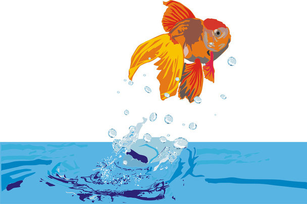Illustrazione con pesci rossi
 - Vettoriali, immagini