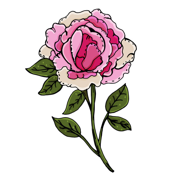 Peonies. Beautiful flowers. Manual drawing. Spring. A set of plants. For postcards, covers.  - Vector, Imagen