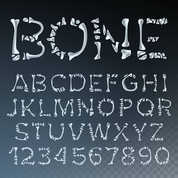 Bone Font Vector. Letters Anatomy. ABC Alphabet. Skeleton Style. Hell Scary Alphabet. Isolated Transparent Illustration - Vector, Image