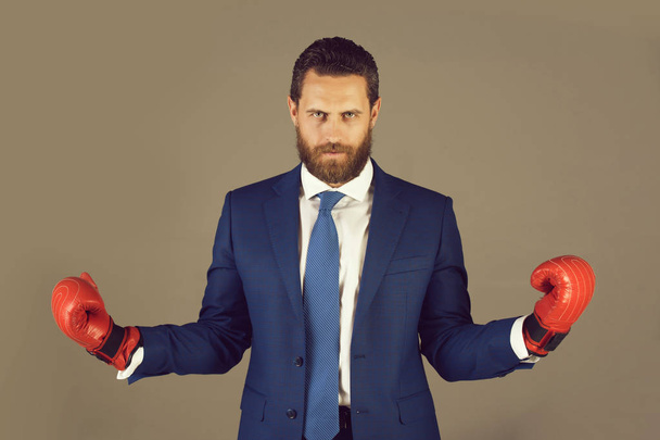 businessman, bearded boxer man in outfit and red boxing gloves - Фото, изображение