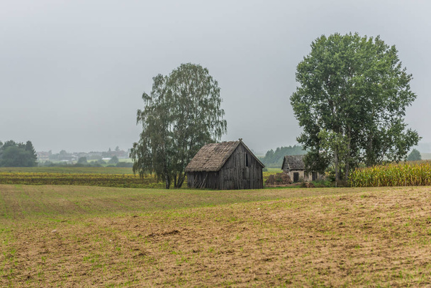 maaseutu Puolassa
 - Valokuva, kuva