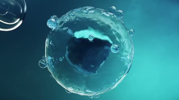 Mesterséges megtermékenyítés egy zár-megjelöl kilátás Mikroszkóp alatt egy tudományos laboratóriumban. Megtermékenyítés egy petesejt, a petesejt, a ovule. Koncepció egy új szervezet, az élet eredete. 4 k 3D-s animáció - Felvétel, videó