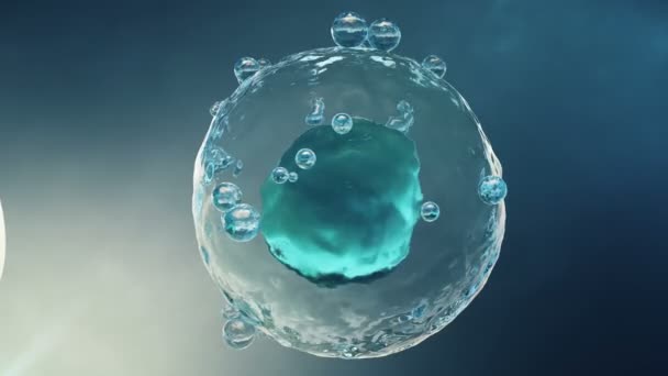 Mesterséges megtermékenyítés egy zár-megjelöl kilátás Mikroszkóp alatt egy tudományos laboratóriumban. Megtermékenyítés egy petesejt, a petesejt, a ovule. Koncepció egy új szervezet, az élet eredete. 4 k 3D-s animáció - Felvétel, videó
