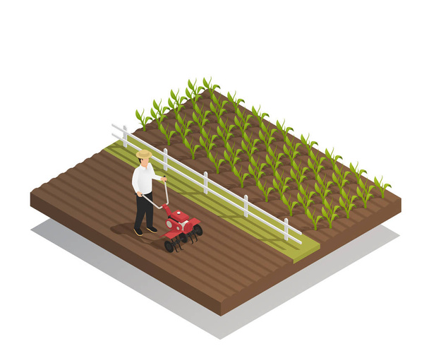 Farming Gardening Agricultural Equipment Composition - Vector, Image