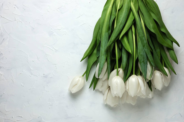 A bouquet of white tulips on a white concrete background. Top view. Flat lay. Postcard for Easter, Mothers Day and Spring Holidays. - Zdjęcie, obraz