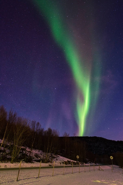Северное сияние (aurora borealis) Лофотенских островов, Норвегия. Ночной зимний пейзаж с полярными огнями и красивым звездным небом, вертикальное изображение
 - Фото, изображение