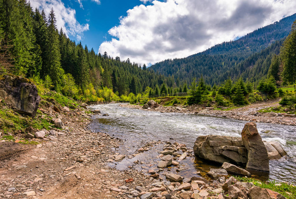 Lesní řeka s kameny na břehu - Fotografie, Obrázek