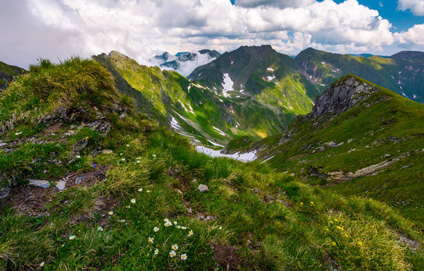 piękny letni krajobraz w górach - Zdjęcie, obraz
