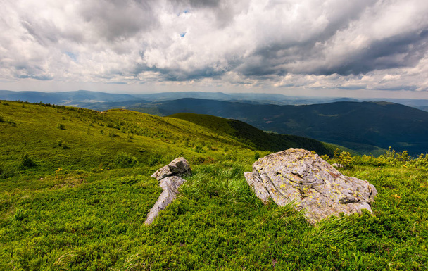 grassy slopes of Carpathian mountains - Photo, image