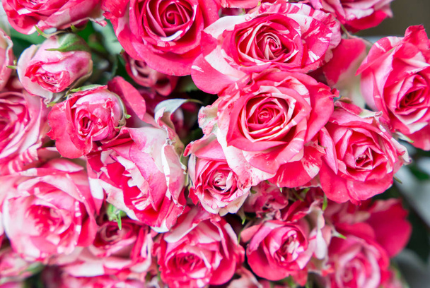 Colorful flower bouquet from pink roses with lights for use as background. - Foto, Bild