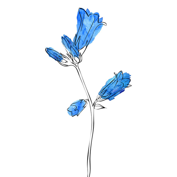 vector drawing bell flower - Vektör, Görsel