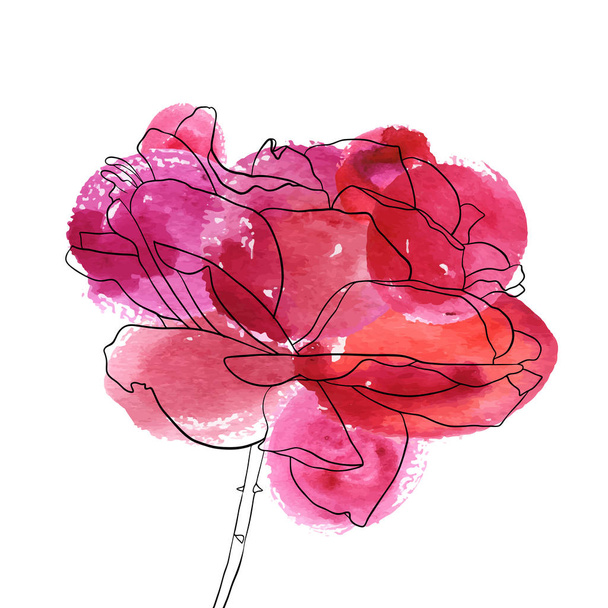vector drawing flower of rose - Vektor, kép