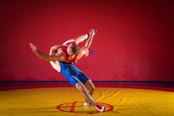Two strong wrestlers  - Photo, Image