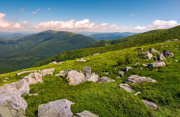 hillside of Runa mountain in summer - Фото, зображення