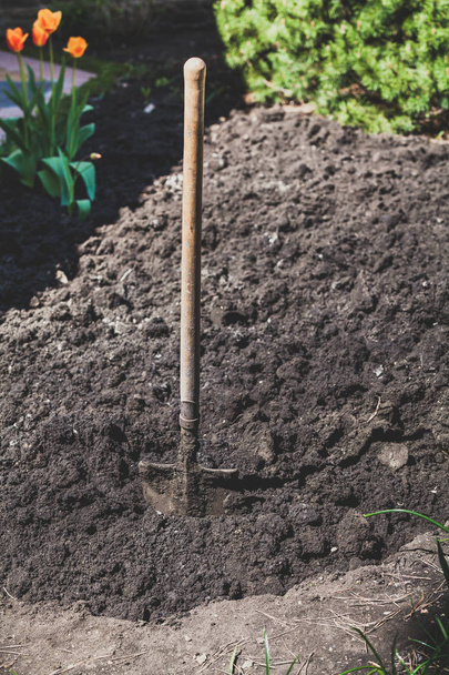 Bayonet spade sticks out in ground - Photo, Image