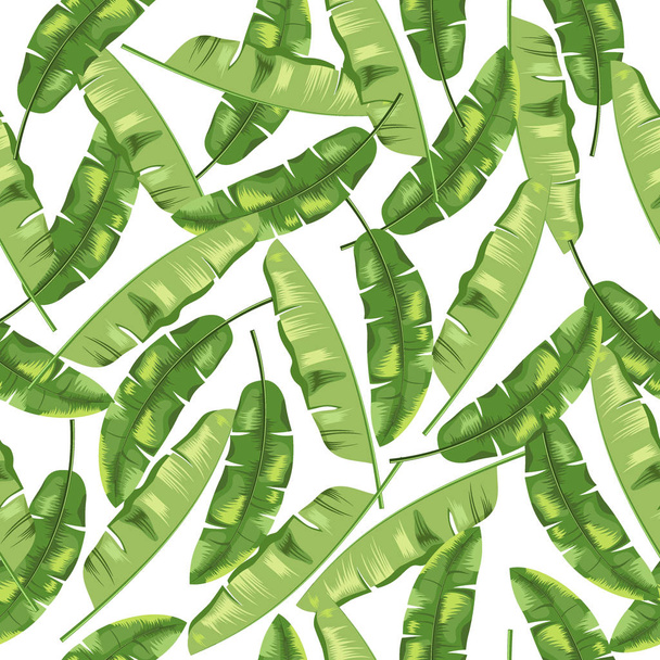 grüne Bananenblätter auf weißem Hintergrund. nahtloses Muster. Vektor. - Vektor, Bild