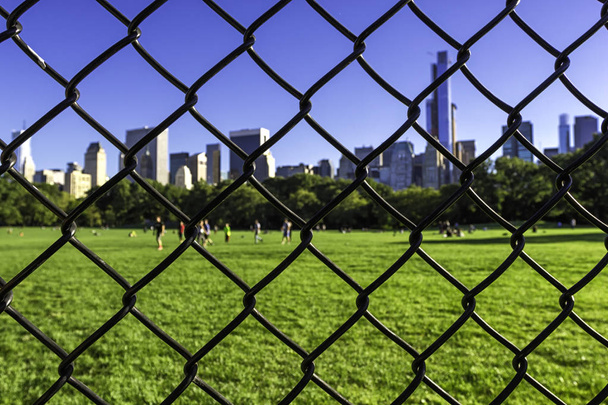 Green lawn of the New York Central Park behind a wire fence. - Fotografie, Obrázek