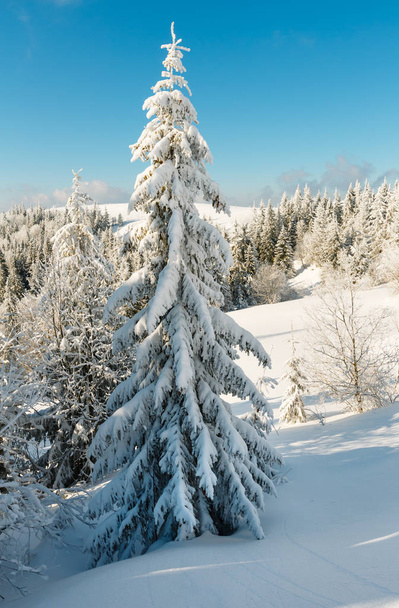 Invierno montaña nevado paisaje
 - Foto, imagen