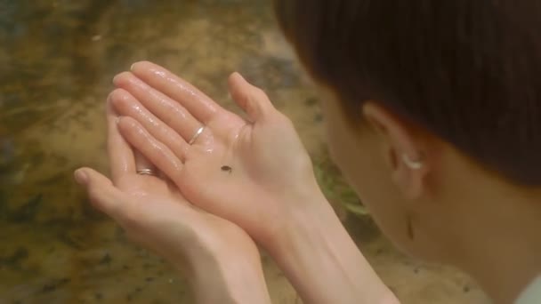 Girl taking tadpole and looking at it. Montage video. - Footage, Video