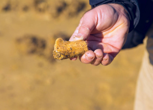 bez života písky, krásný písek textury vykopávky zkamenělin - Fotografie, Obrázek