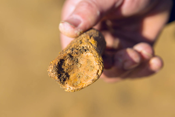 élettelen sands, gyönyörű homok textúráját ásatások fosszíliák - Fotó, kép