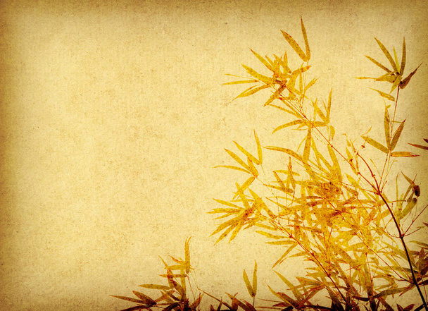 Bambus auf altem Grunge Papier Textur Hintergrund - Foto, Bild