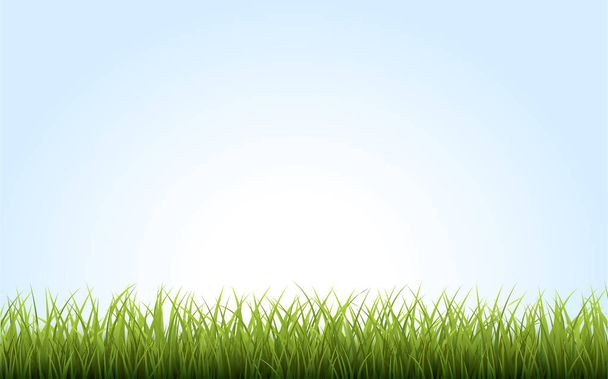 Zöld fű határ a kék háttér - Vektor, kép