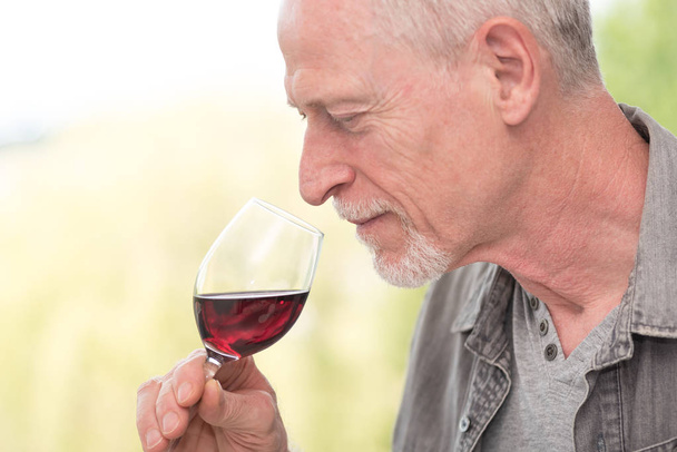 Zralý muž ochutnávka červené víno - Fotografie, Obrázek