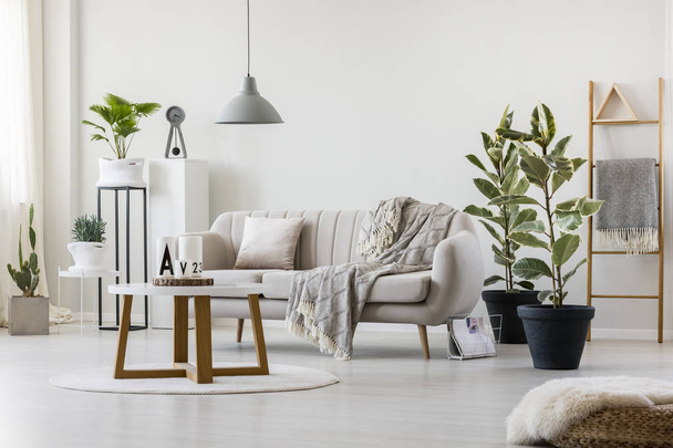 Living room with elegant couch - Фото, изображение