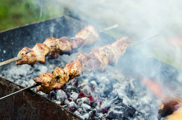  barbecue meat BBQ brazier green background - Photo, Image