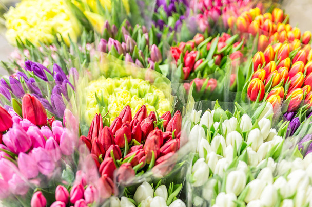 Lot of multicolored tulips bouquets. Flower market or store. Who - Фото, зображення